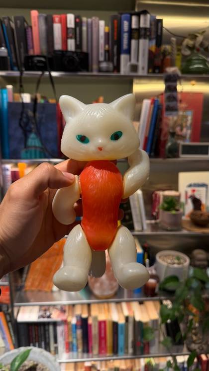Photo of a favorite toy cat